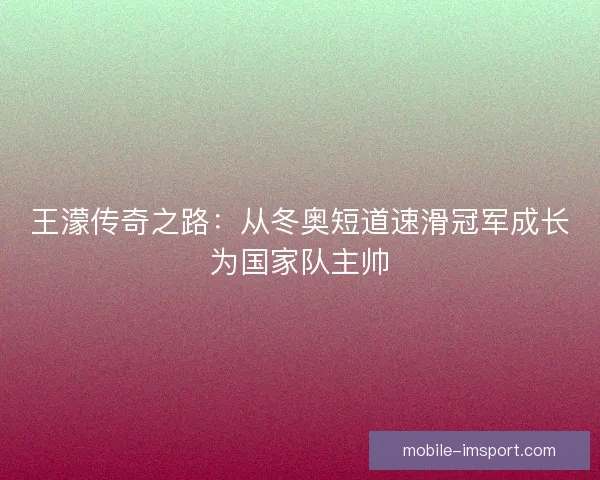 王濛传奇之路:从冬奥短道速滑冠军成长为国家队主帅 王濛传奇之路:从冬奥短道速滑冠军成长为国家队主帅